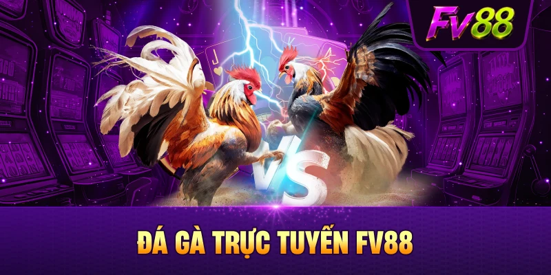 FV88 hồi hộp cùng những trận đá gà kịch tính